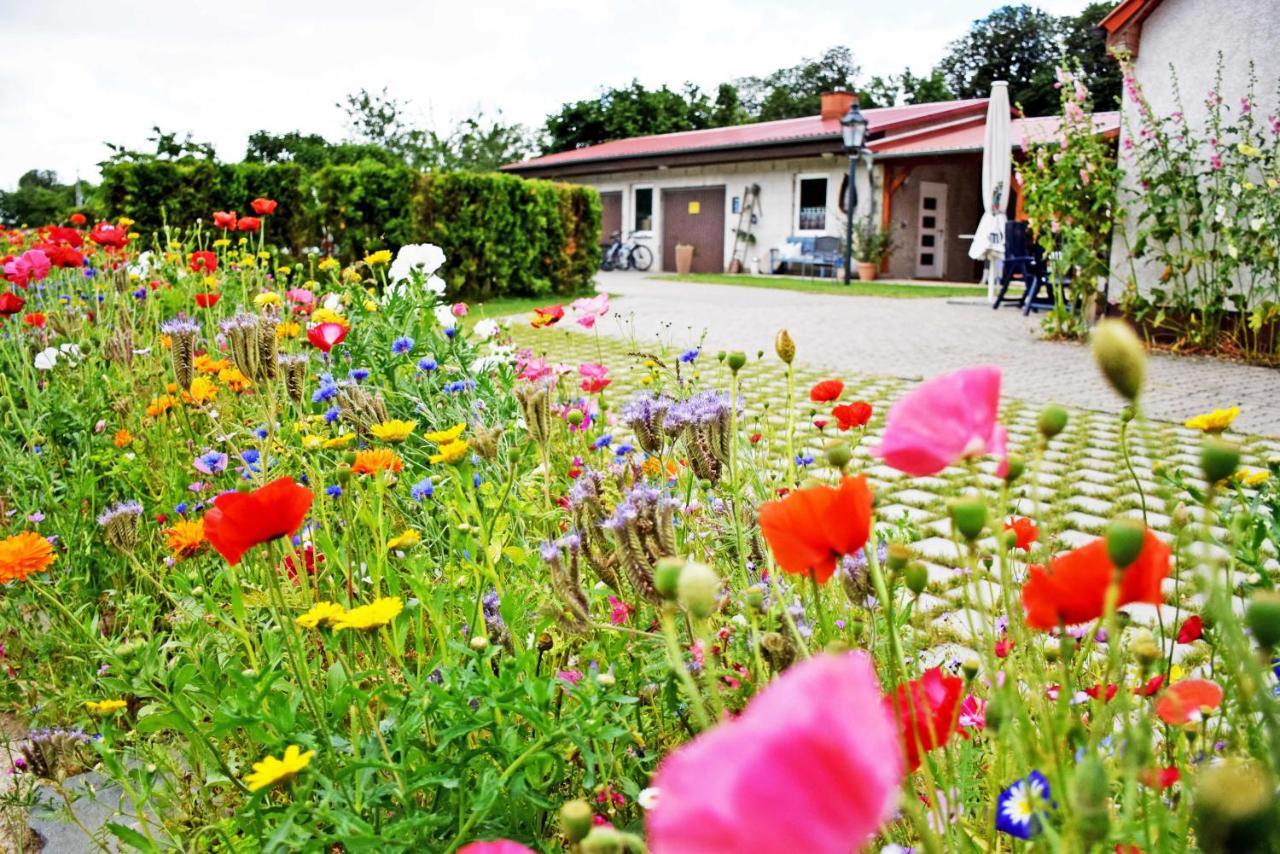 Ferienwohnungen auf dem Pommernhof Samtens Exterior foto