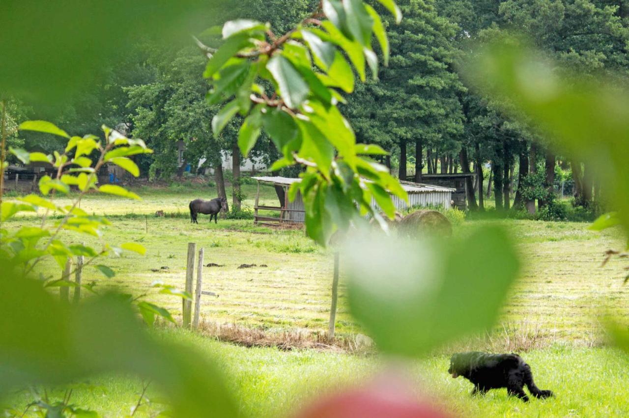 Ferienwohnungen auf dem Pommernhof Samtens Exterior foto